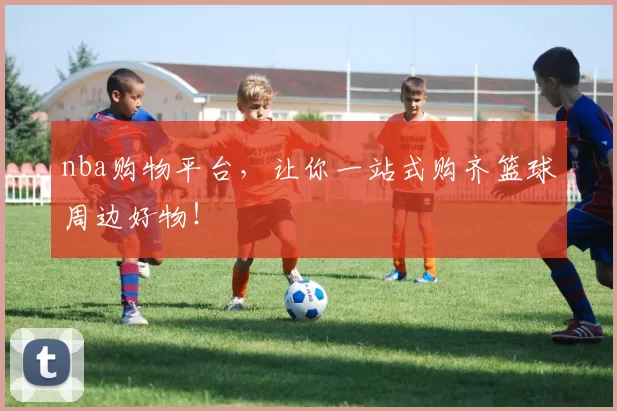 nba购物平台,让你一站式购齐篮球周边好物!